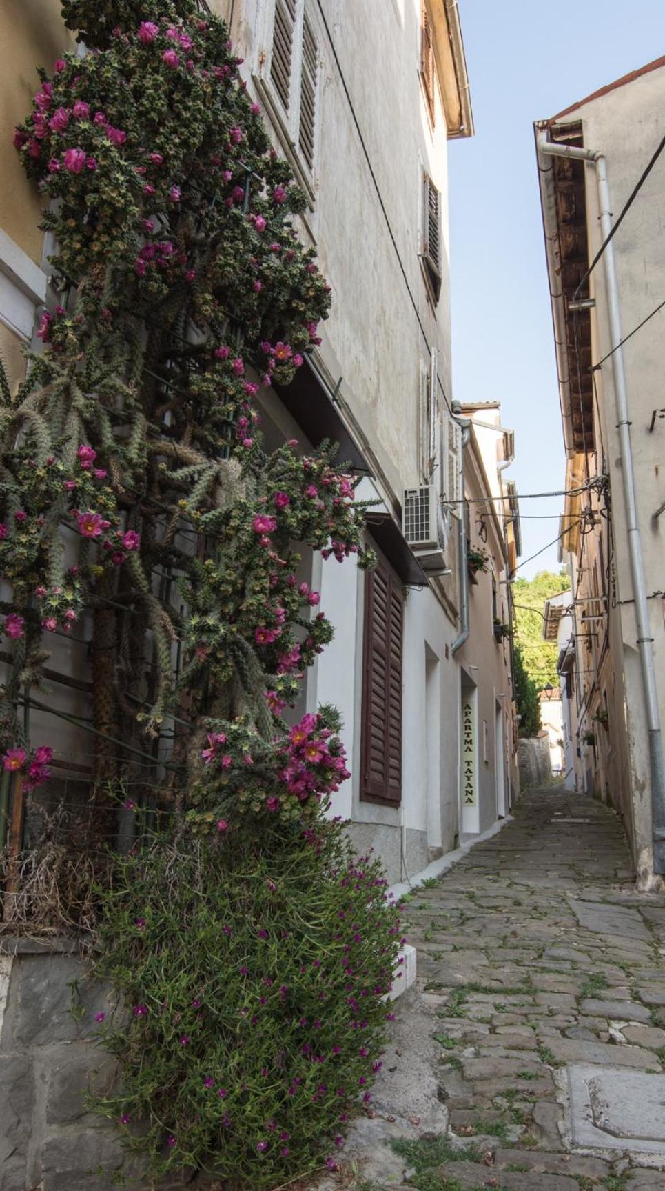 Apartma Tayana Piran - Parking Included !!! エクステリア 写真